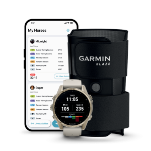 Garmin Blaze